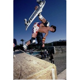 GATOR STICKER Vision Skateboards WORLD INDUSTRIES VINTAGE Thrasher BONES BOGO