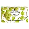 Florinda Spring Flowers Hop Vegetal Soap Bar 100 G 3.5