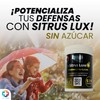 VITAMINA C / L-Glicina en polvo SIN AZUCAR - Formula