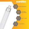 Sunlite 21-Inch F13T5/CW T5 Linear Fluorescent Lamp, 13 Watts, 850