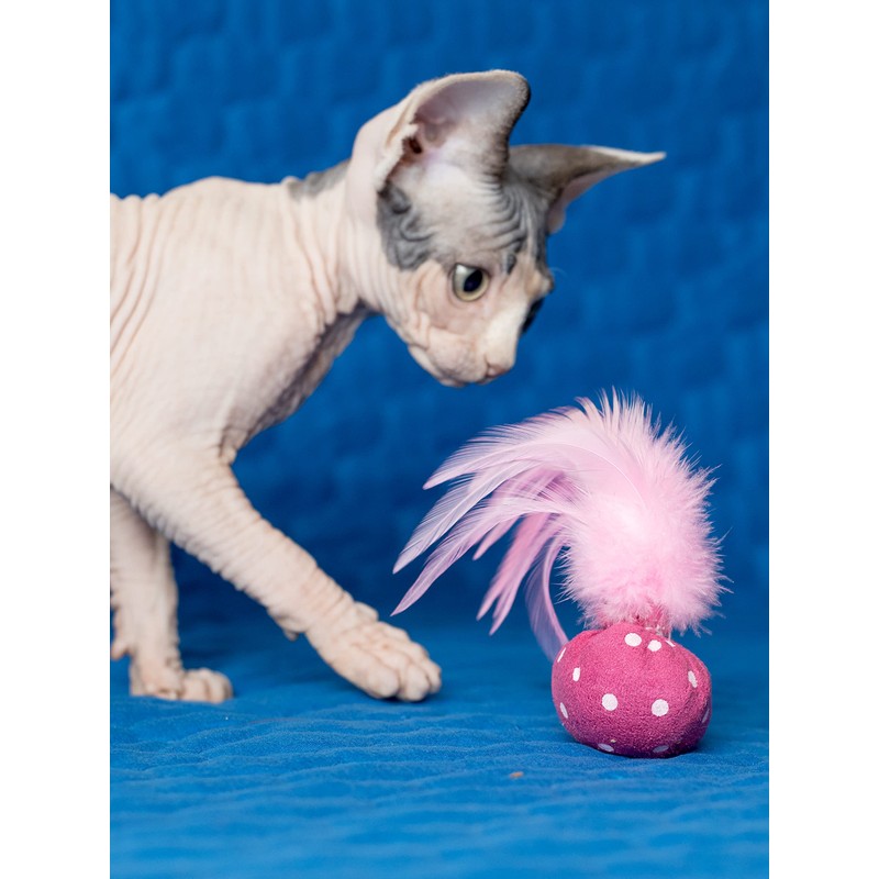 Nekomote Ball with Wings