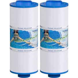 TOREAD 5CH-352 Spa Filter Replaces PPM35SC-F2M, Marquis Spa 20042, 20092, 70-0240, 370-0242, 370-0243, Filbur FC-0196, 2" Male Thread/MPT Hot Tub Filter, 2 Pack