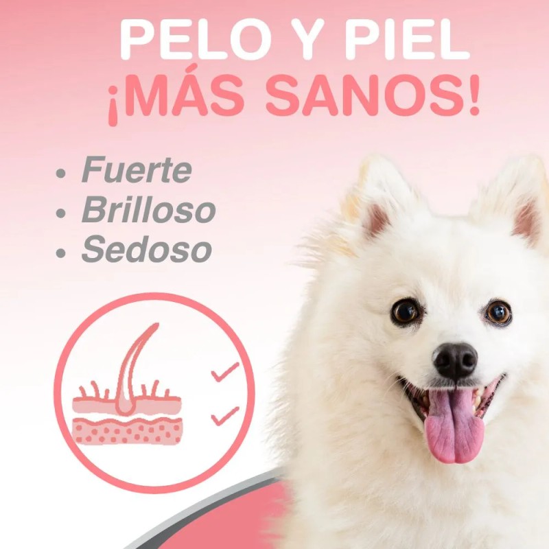 Aceite De Salmón Omega 3 Y 6 Para Perros Y