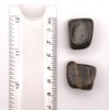Petrified Wood Medium Crystal Tumbled Stone - 1 Pc
