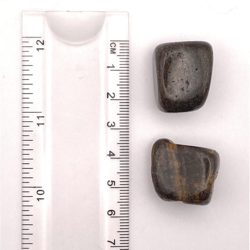 Petrified Wood Medium Crystal Tumbled Stone - 1 Pc