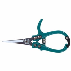 Siena Garden CG2090 Florists Scissors, Turquoise, 16.9 x 8.3 x 1,8 cm