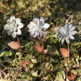 TZSSP Floral Garden Stake Outdoor Glow in Dark Silver Plant Pick Water Proof Metal Flower Stick Décor for Lawn Yard Patio,3 PCS