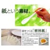 Paper Eco Spoon [Single Bag 3-Pack,] (Small) [100 mm] [100 Pieces] [Free