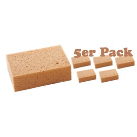 Blackboard Sponge Pack of 5