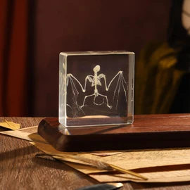 Real Bat Skeleton Specimen in Resin for Science Classroom Science Education Great Gift for Fans of Taxidermy, Animal Skull, Biology, Oddities