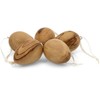 SIKORA OD18 Set of 5 Small Decorative Easter Eggs Made