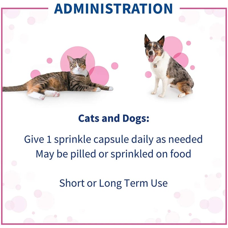 Nutramax Proviable Health Supplement For Cats And Dogs