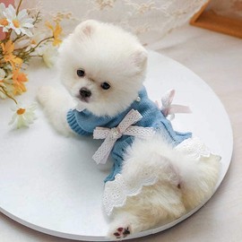 Pet Sweater Dress Small Dog Dress with Bow Female Girl Pink/Blue Winter Warm Dog Princess Lace Dress Clothes Dachshund Chihuahua Corgi Cat Dress for Christmas Birthday Valentines Day (Blue, Large)