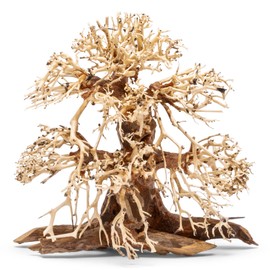 Ultum Nature Systems Bonsai - Handcrafted Hardscape Driftwood for Aquarium, Terrarium, Vivarium, Natural Aquascape Hardscape Decorations, Aquascaping Hardscape for Live Aquatic Plants - 002, Medium