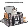 Petmolico Cat Carrier Soft-Sided Pet Bag for Small Medium Cats