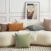 Mandioo Pack of 2 Chenille Throw Pillow Covers Elegant Design