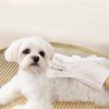 Pet Cleaning Gloves, Dog Cleaning Gloves, Dry Paws for Puppy