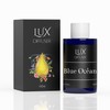 Lux Diffuser – Plug-in Waterless Essential Oil Diffuser, Nanotechnology, Silent