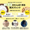 TEADY 完全栄養食 プロテイン タンパク質24g ホエイ ソイ コラーゲン 乳酸菌750億 食物繊維 ダイエット