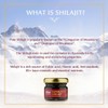 VASU Ayurveda Himalayan Shilajit Resin 400mg – Lab Tested Natural