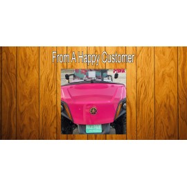 Signs and Novelties Neon Green Cat Eye License Plate