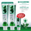 Dentiste Plus White Nighttime Toothpaste Tube 160g x 2 +
