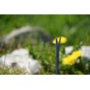 Tierra Garden Dewit Dandelion Weeder