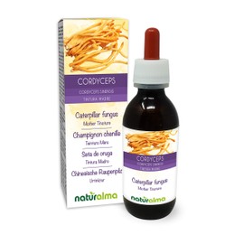 Cordyceps or Caterpillar Mushroom (Cordyceps sinensis or Ophiocordyceps sinensis) Fungus or Mushroom Alcohol-Free Mother Tincture Naturalma | Liquid Extract Drops 120 ml | Food Supplement | Vegan