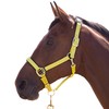 Shires Topaz Nylon Pony/Horse Headcollar - Black Extra Full