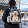 Transparent Pet Backpack Carrier for Cats & Small Dogs, Ventilated