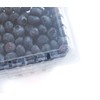35 PACK - Plastic Berry Basket/Produce Containers - Pint Size