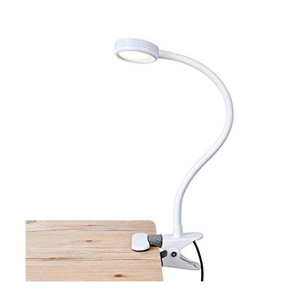 LEPOWER Metal Clip on Light/ Reading Light/ Light Color Changeable/ Night Light Clip on for Desk, Bed Headboard and Computers (White)