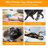 Dog Lifting Harness,Dog Support Harness Slings for Back Legs,Adjustable Assistance