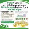 Vegan Omega 3 - Potent Plant Based Algal DHA derived