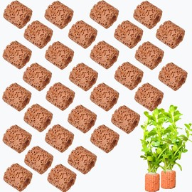 icyhey 20Pcs Aquatic Water Plant Fixed Rings, 25mm Aquatic Plant Fixed Ring Base Cultivation Rings for Aquarium Landscaping and Ceramic Plant Pots,Fish Tank Accessories