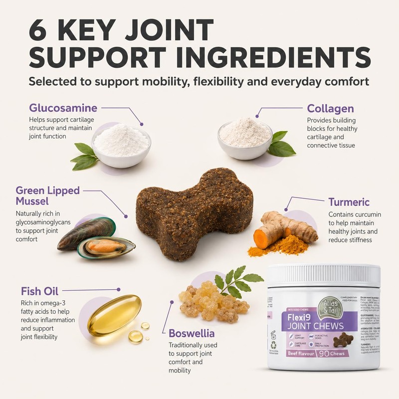 Hip and Joint Support Chews for Dogs - Glucosamine, MSM,