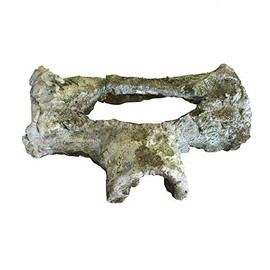 Terrarium/aquarium cave, catfish hideout, gecko cave spawning ground approx. 20 x 13 x 8 cm.