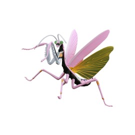 Fujimi Model Free Research Series No. 232 Evangelion Edition Wolk No. 8 Specification Free Research-232