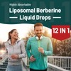 Berberine HCl Supplement 3000 mg - Liposomal Berberine HCl Liquid