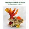 Reef Rock, 21 x 17 x 13 cm, Rock Stone