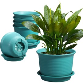 BSTMOME 6PCS Plastic Planter Set, 6 Inch Thickened Flower Pots with Drainage Holes and Trays, Herb Pots Windowsill Planter Pots for Indoor/Outdoor Home and Garden Decor (Green)