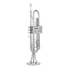 Bb Standard Instruments Silver Trumpet for Adults with Case Valve