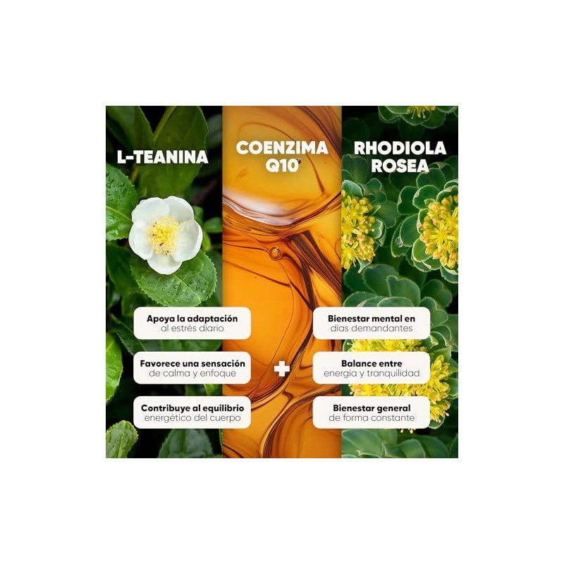 Rhodiola Rosea 180 Cápsulas, Adaptógeno para 3 Meses Nootropico Homodeus