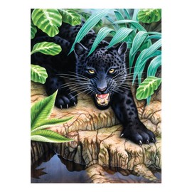 Pracht Creatives Hobby Royal & Langnickel Paint by Numbers Black Panther, Contains Paints and Brushes, for Adults and Children from 8 Years, Medium
