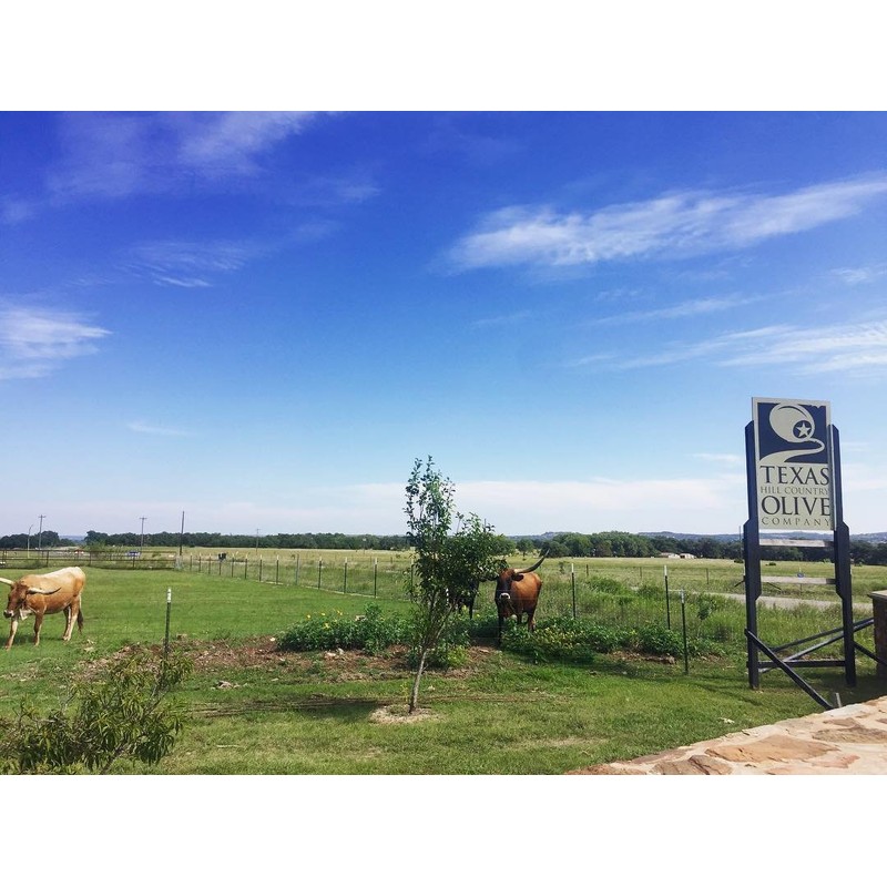 Pineapple Balsamic Vinegar - Gourmet Barrel Aged Infused Balsamic Vinegar