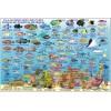 Isla Mujeres Mexico Map & Reef Creatures Guide Waterproof Fish