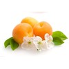 Himalaya Herbals Gentle Exfoliating Apricot Face Scrub with Natural Vitamin