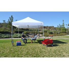 Impact Canopy 10' x 10' Ultra Light Canopy Tent, UV Coated, Pop Up Canopy, White
