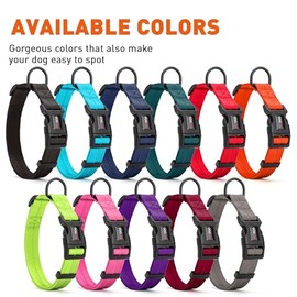 Dogline Collar de Nylon, Color Celeste, Meno                                                                                                          