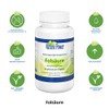 Folic Acid | 5-MTHF | 500 µg per capsule |